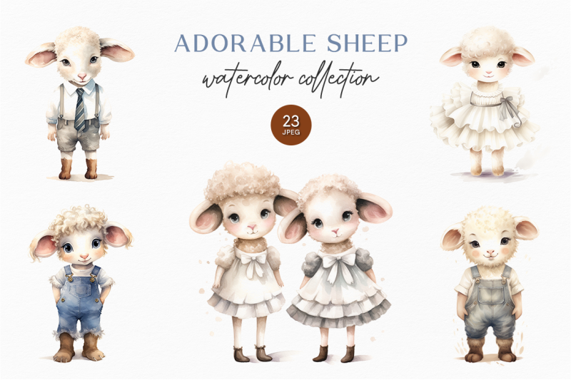 adorable-sheeps