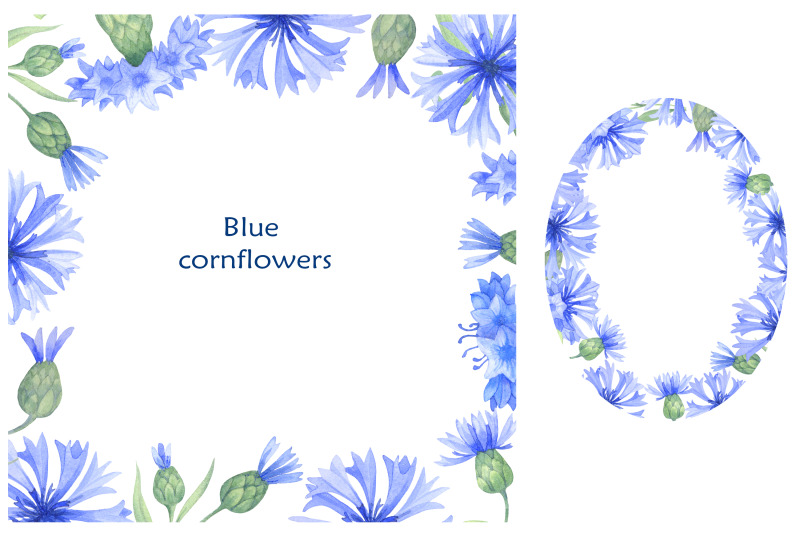 blue-cornflowers-bundle