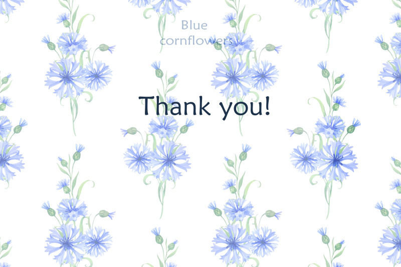 blue-cornflowers-bundle