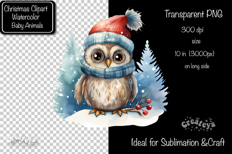 christmas-clipart-owl-illustration-watercolor-christmas-clipart-png