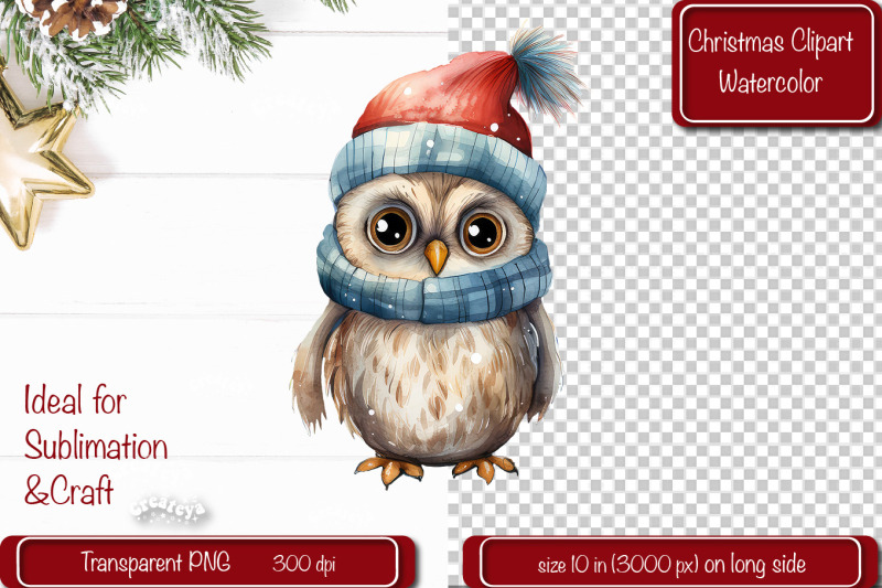 christmas-clipart-owl-illustration-watercolor-christmas-clipart-png