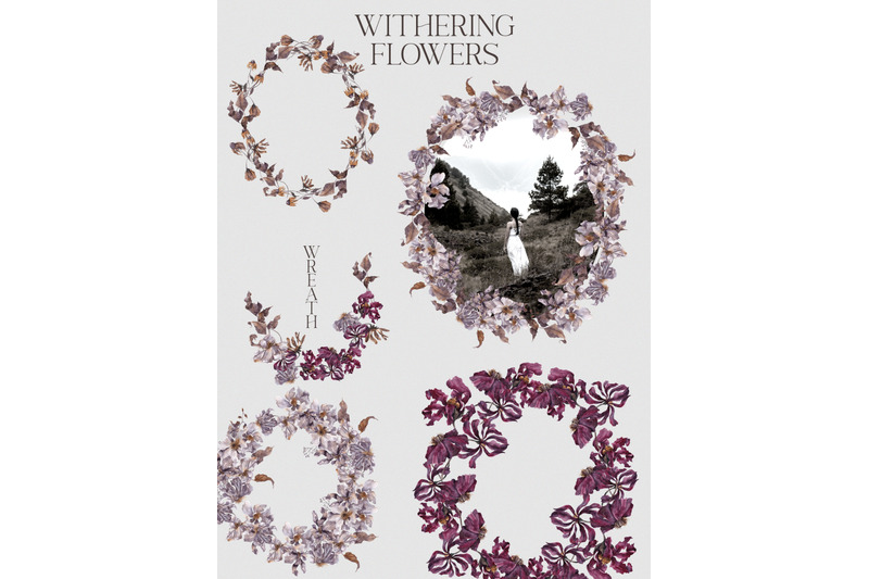 withering-flowers-floral-collection