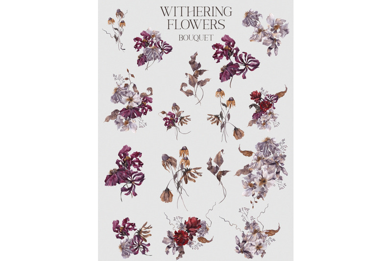 withering-flowers-floral-collection