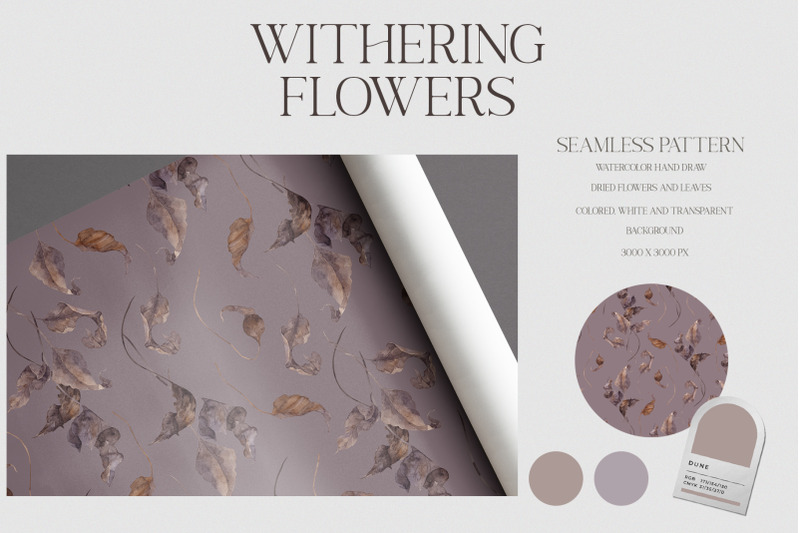 withering-flowers-floral-collection