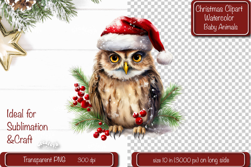 christmas-clipart-owl-illustration-watercolor-animal-christmas-clipart