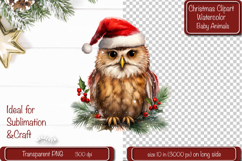 christmas-clipart-owl-illustration-watercolor-animal-christmas-clipart