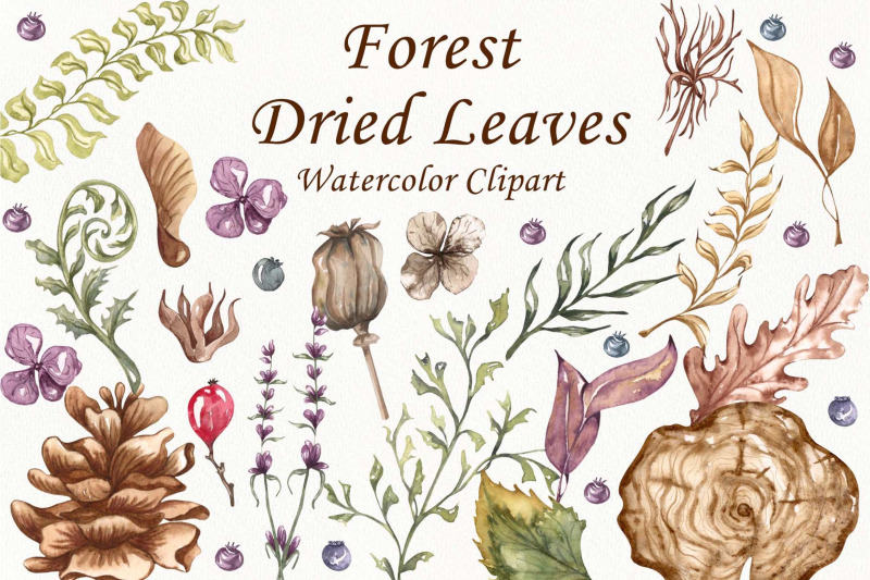 forest-clipart-forest-leaves-watercolor-clipart