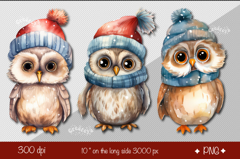 christmas-clipart-watercolor-owl-clipart-bundle-xmas-owl-illustration