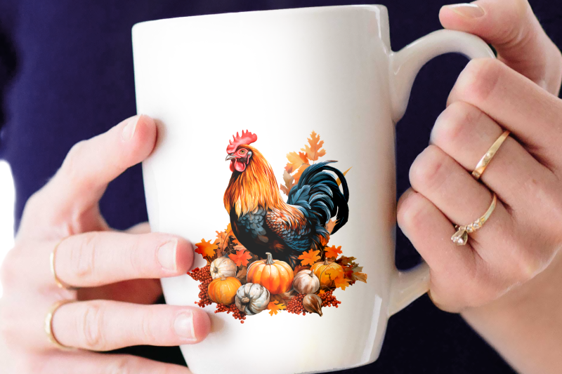 thanksgiving-rooster-illustration
