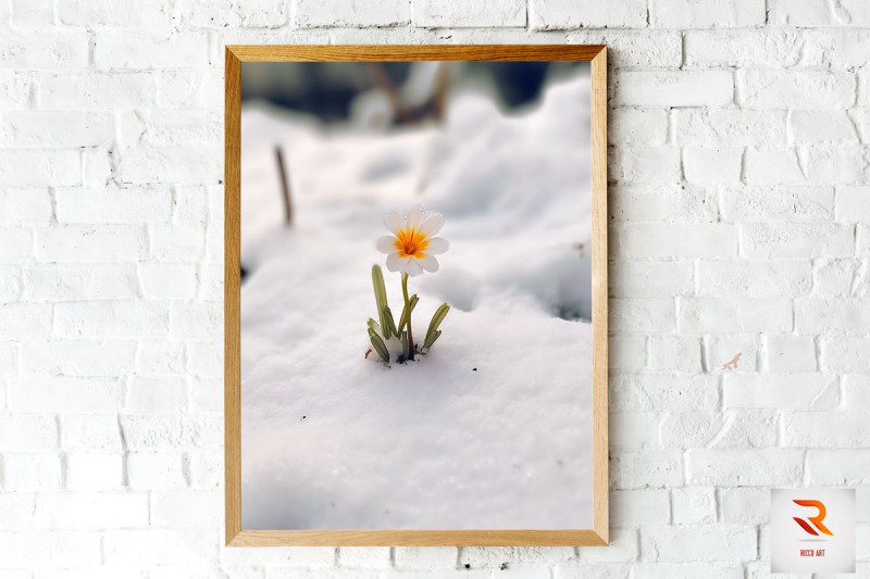 little-flower-born-in-the-snow-wall-art