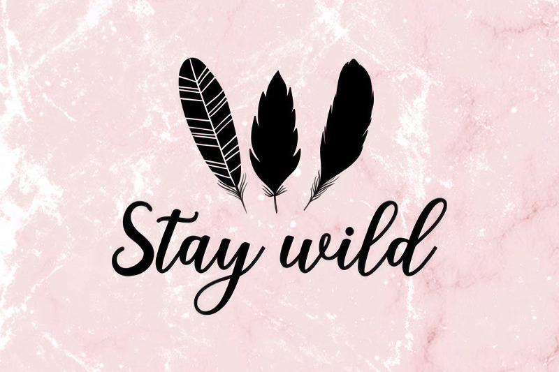 stay-wild-feather-svg