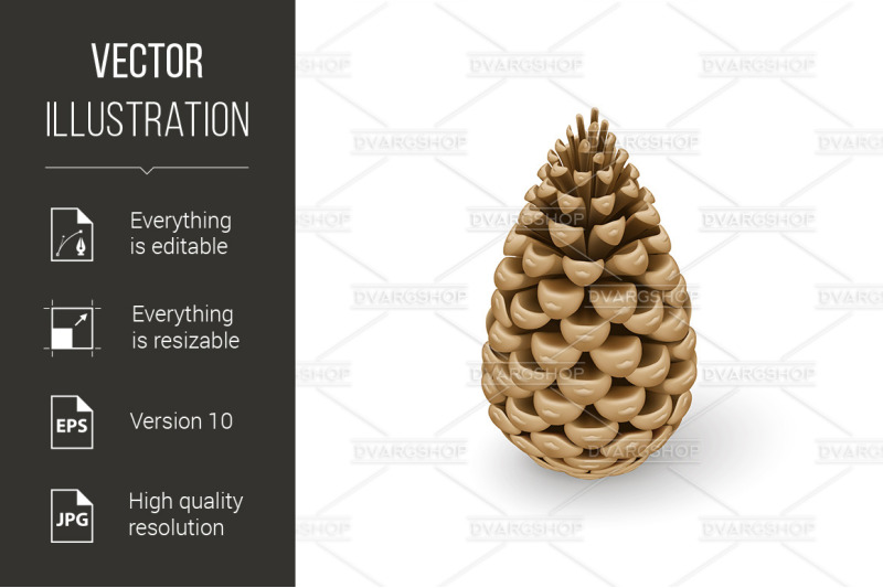 fir-cone