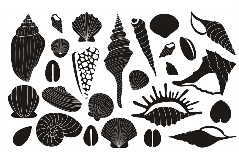 black-shells-exotic-seashells-silhouettes-of-various-shapes-and-forms