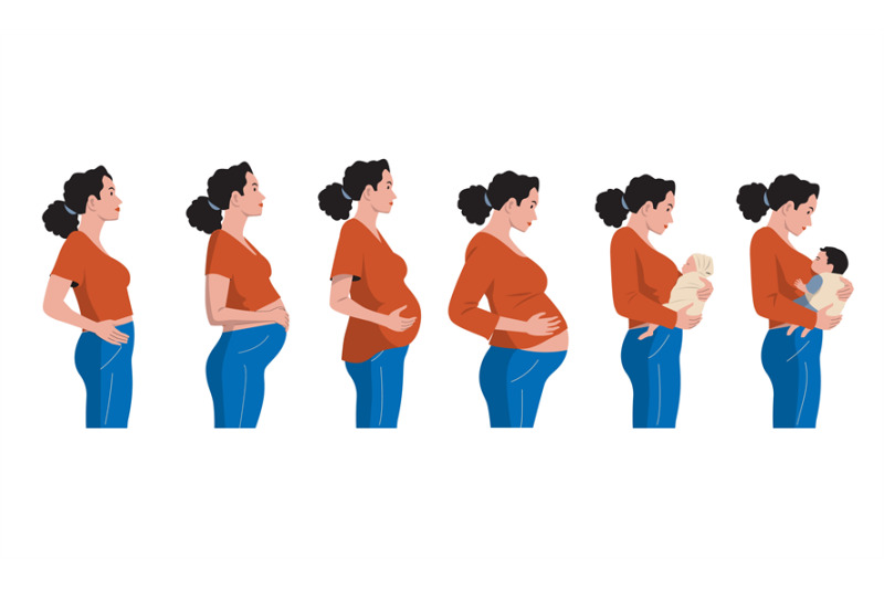 pregnancy-stages-timeline-of-pregnancy-woman-from-embryo-to-newborn-b