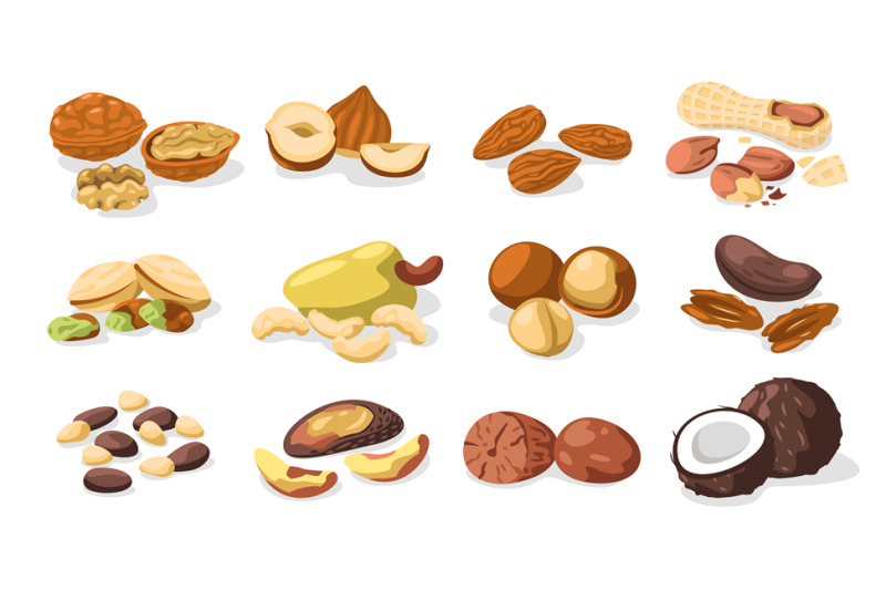 set-of-nuts-cartoon-colorful-nuts-kernels-organic-food-healthy-snack