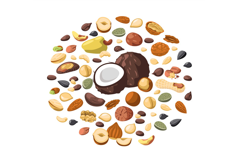 nuts-circle-cartoon-pack-of-dried-nuts-kernel-pistachio-almond-cashe