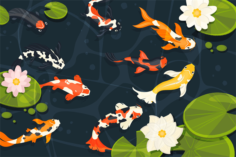 pond-with-koi-fish-exotic-decorative-goldfish-cartoon-chinese-carp-s