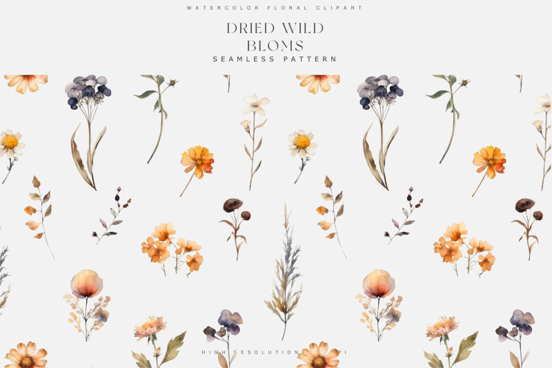 watercolor-wildflowers-clipart-collection