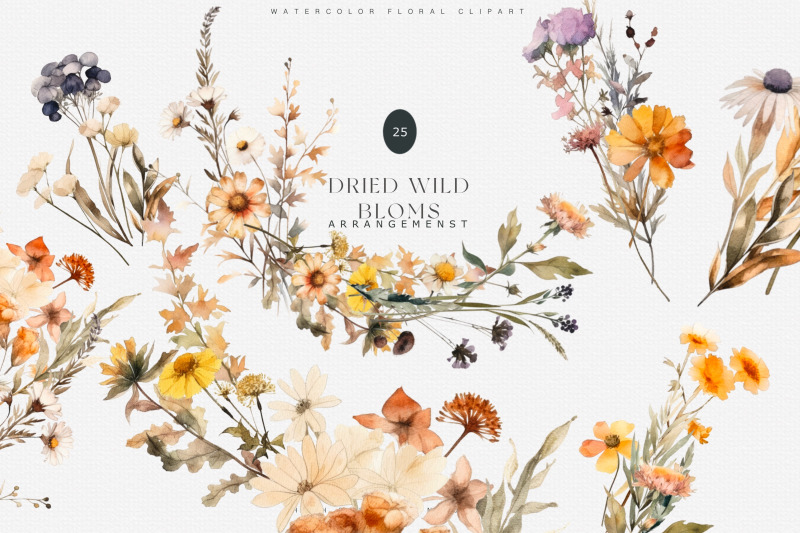 watercolor-wildflowers-clipart-collection