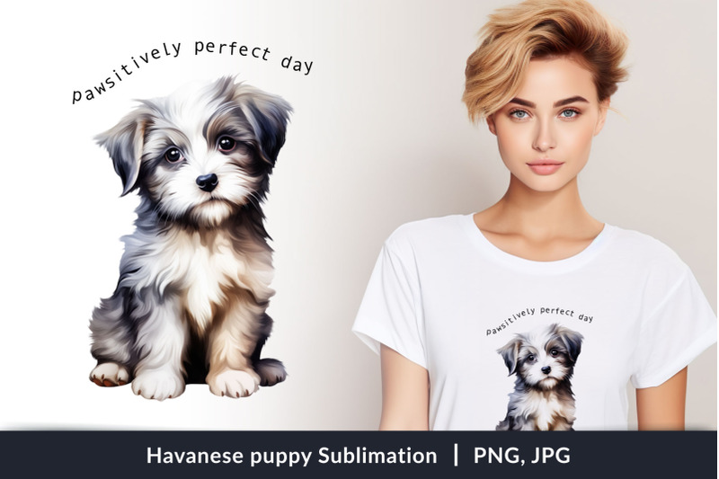 havanese-puppy-sublimation