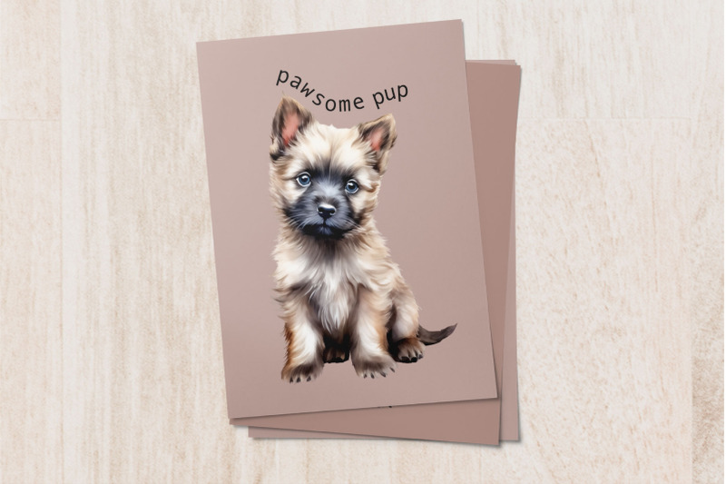 cairn-terrier-puppy-sublimation