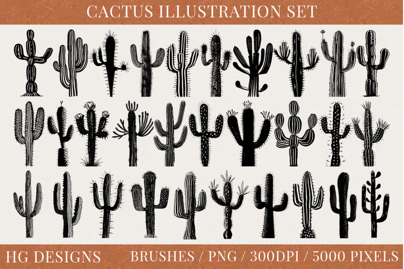cactus-illustration-set