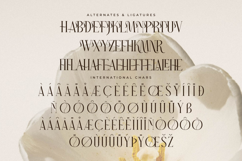 narque-holden-gold-font-duo