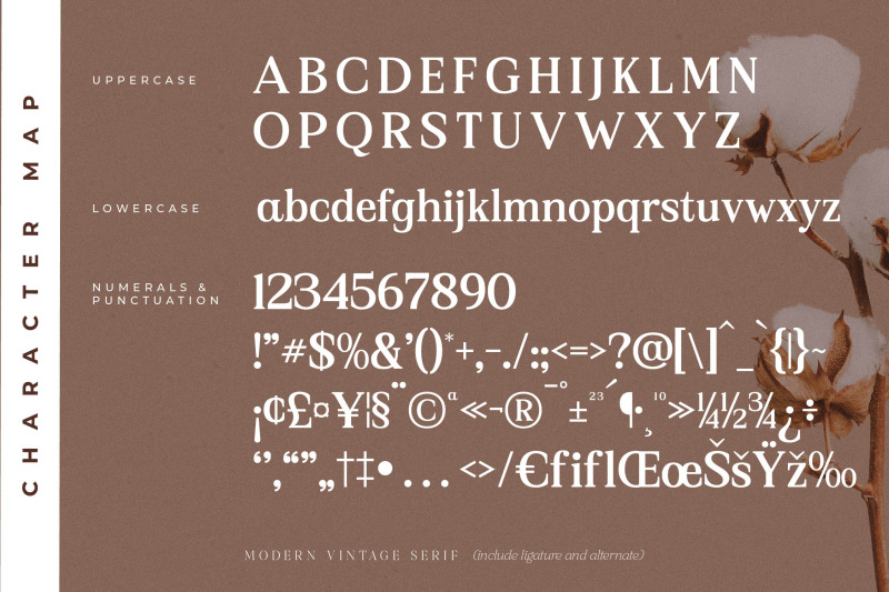 asbela-eternity-typeface