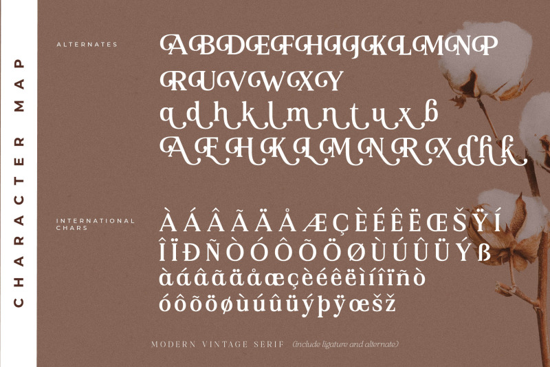 asbela-eternity-typeface