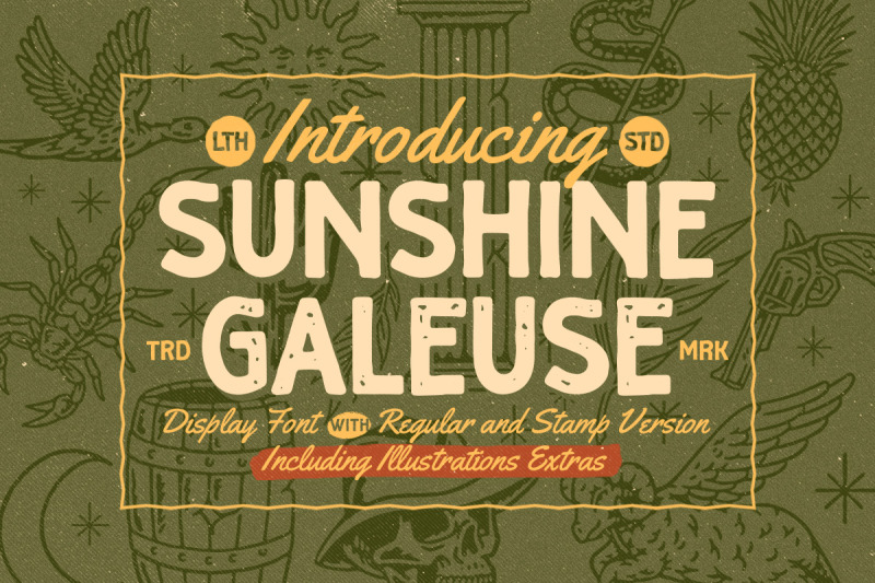 sunshine-galeuse-display-with-bonus