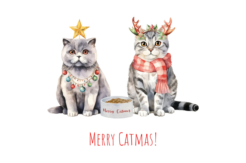 watercolor-christmas-cat-clipart-xmas-cats-clip-art-cat-breeds-png