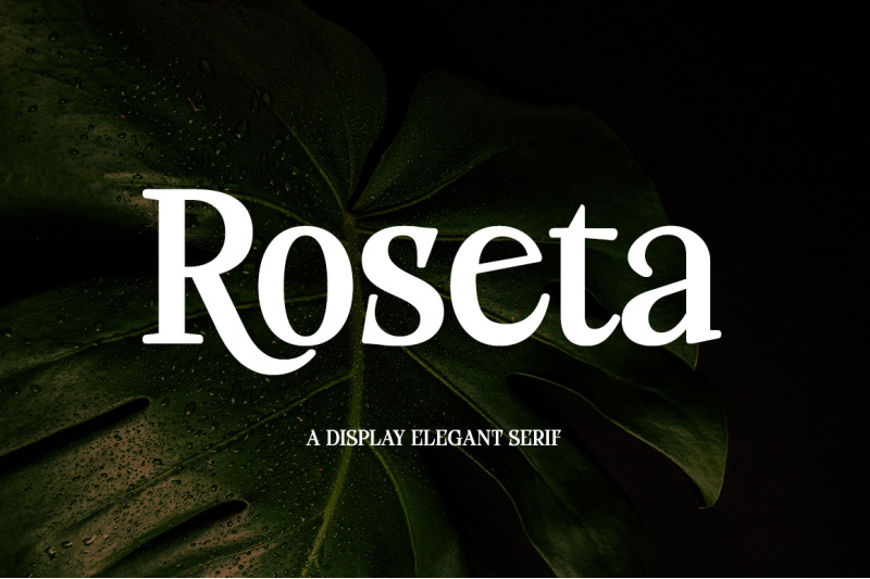 roseta-display