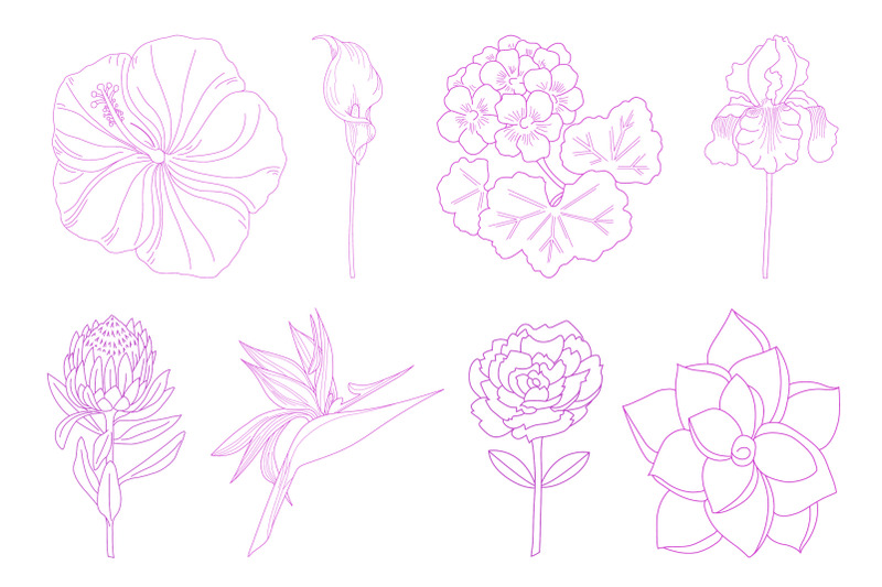 8-flower-clip-art-illustrations-in-7-colors