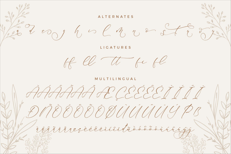 mindflora-benatio-beauty-script-font