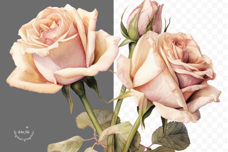 elegant-roses