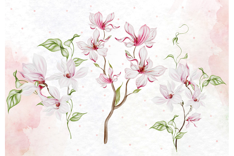 magnolia-bouquet-1