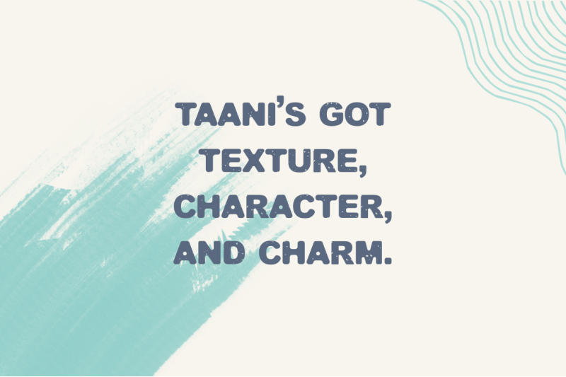 taani-chunky-sans-serif-font