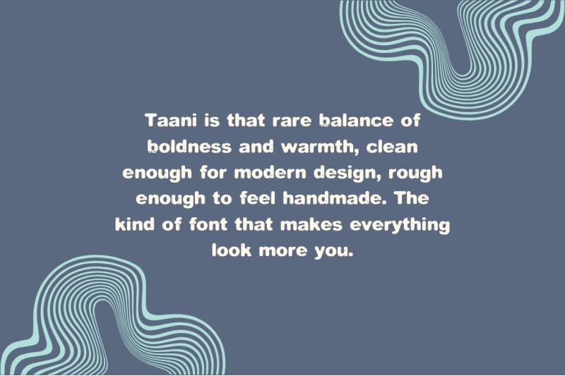 taani-chunky-sans-serif-font