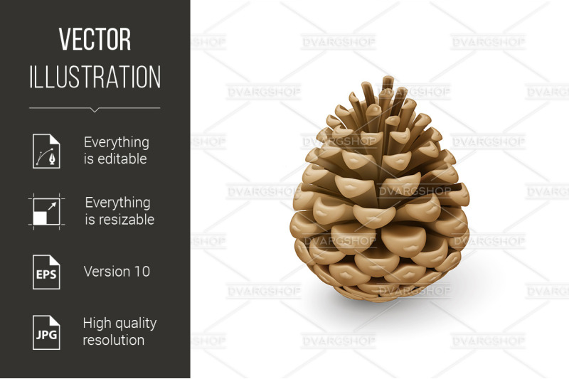 fir-cone