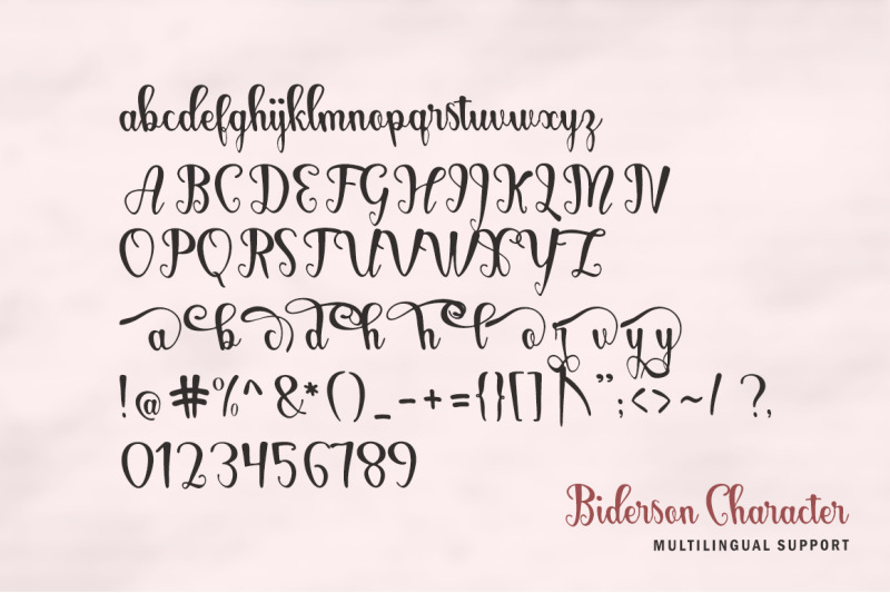 biderson-script