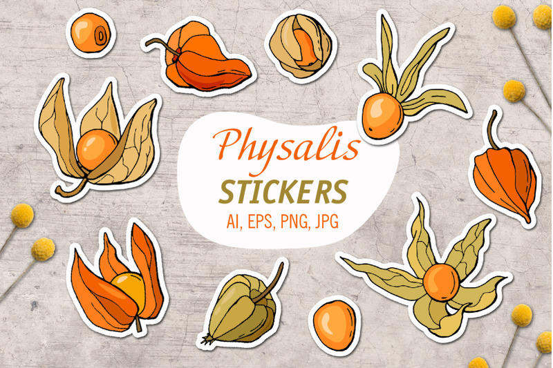 physalis-printable-stickers-cricut-design