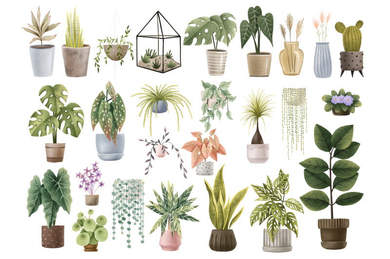 cozy-house-plants-clipart