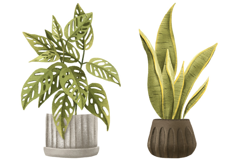 cozy-house-plants-clipart