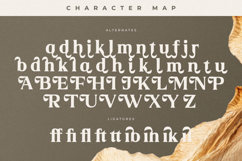 merika-typeface