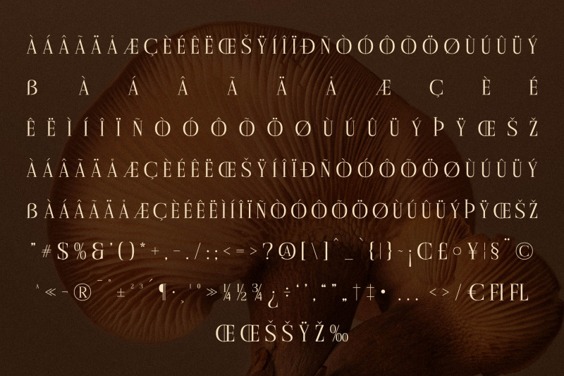 cholten-typeface