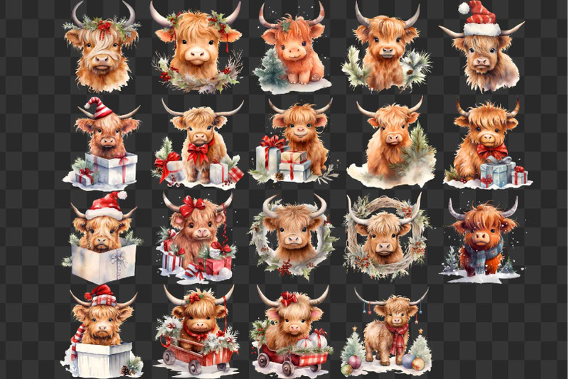 christmas-baby-highland-cows-clipart-winter-clip-art-png