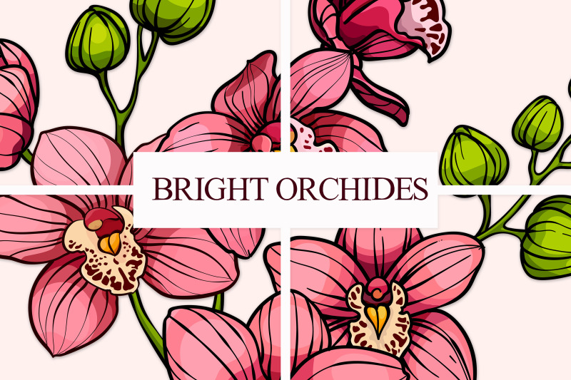 bright-orchids-vector-set