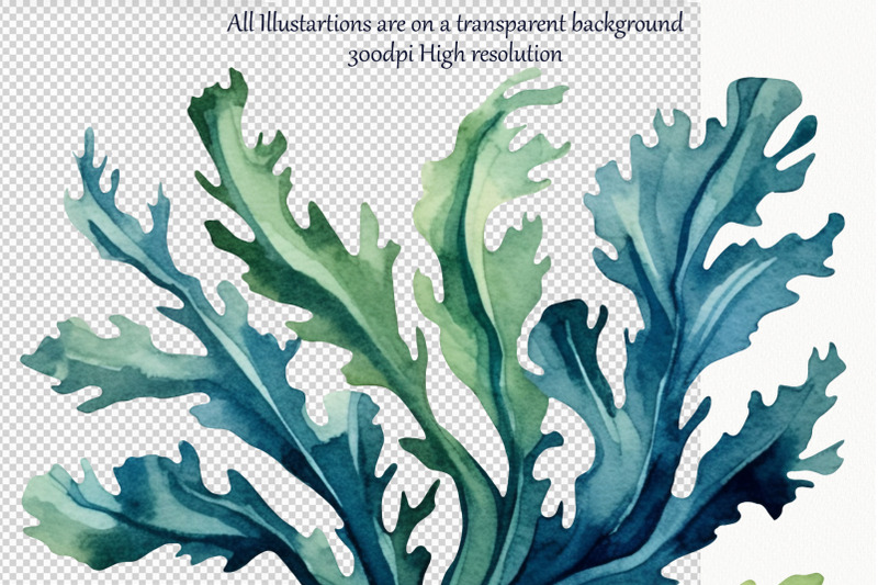 seaweed-watercolor-clipart-coral-reef-clipart