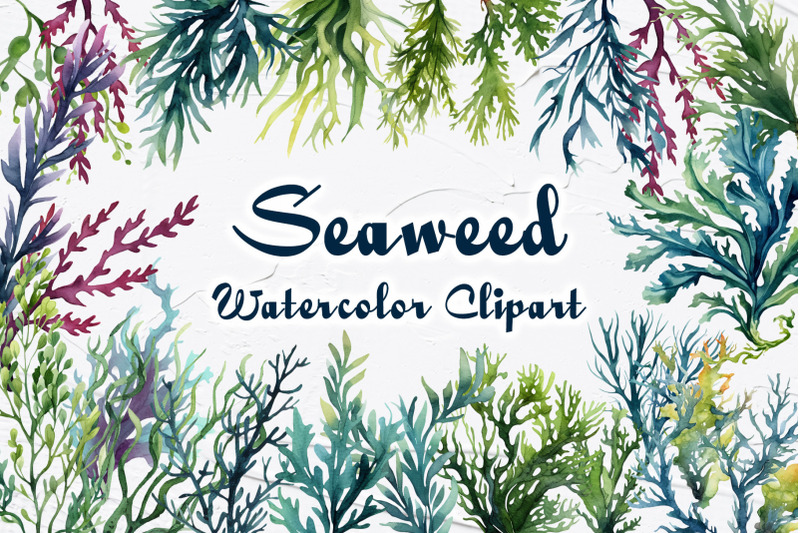 seaweed-watercolor-clipart-coral-reef-clipart