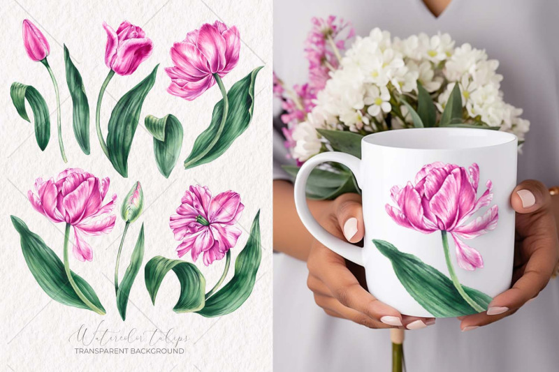 watercolor-tulips-clipart-png